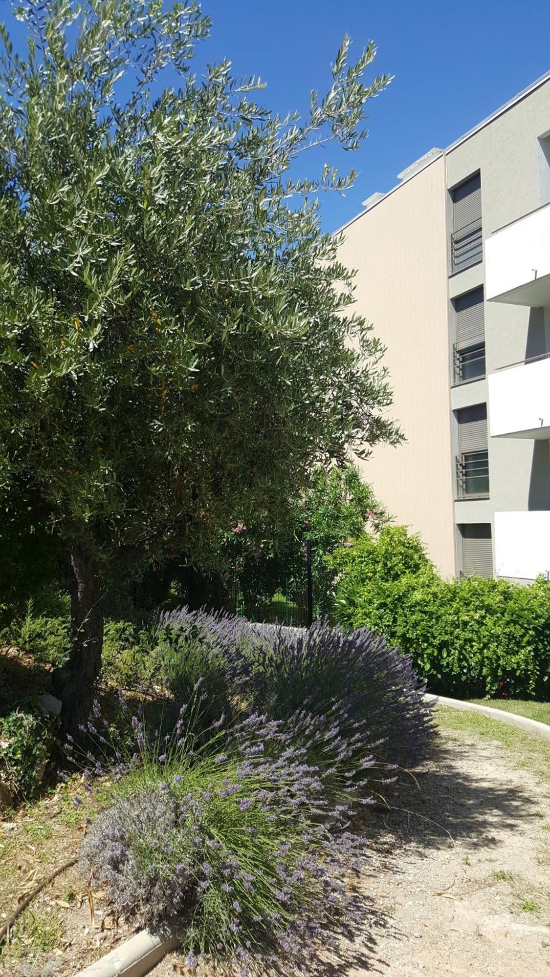 Studio Vista Apartment Antibes Ngoại thất bức ảnh